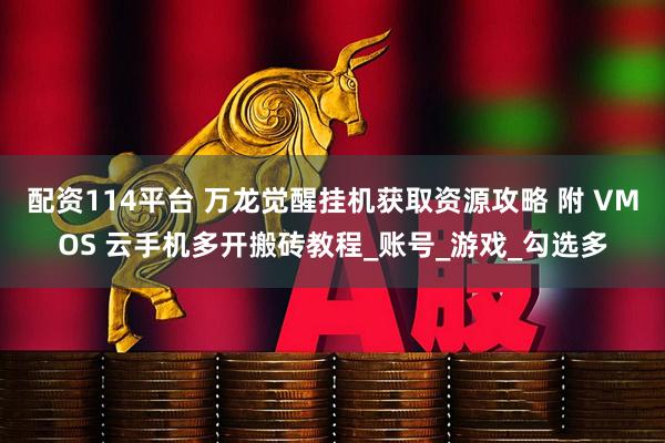 配资114平台 万龙觉醒挂机获取资源攻略 附 VMOS 云手机多开搬砖教程_账号_游戏_勾选多
