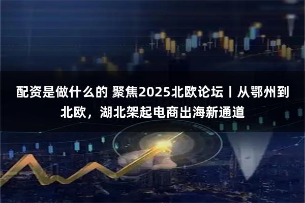 配资是做什么的 聚焦2025北欧论坛丨从鄂州到北欧，湖北架起电商出海新通道